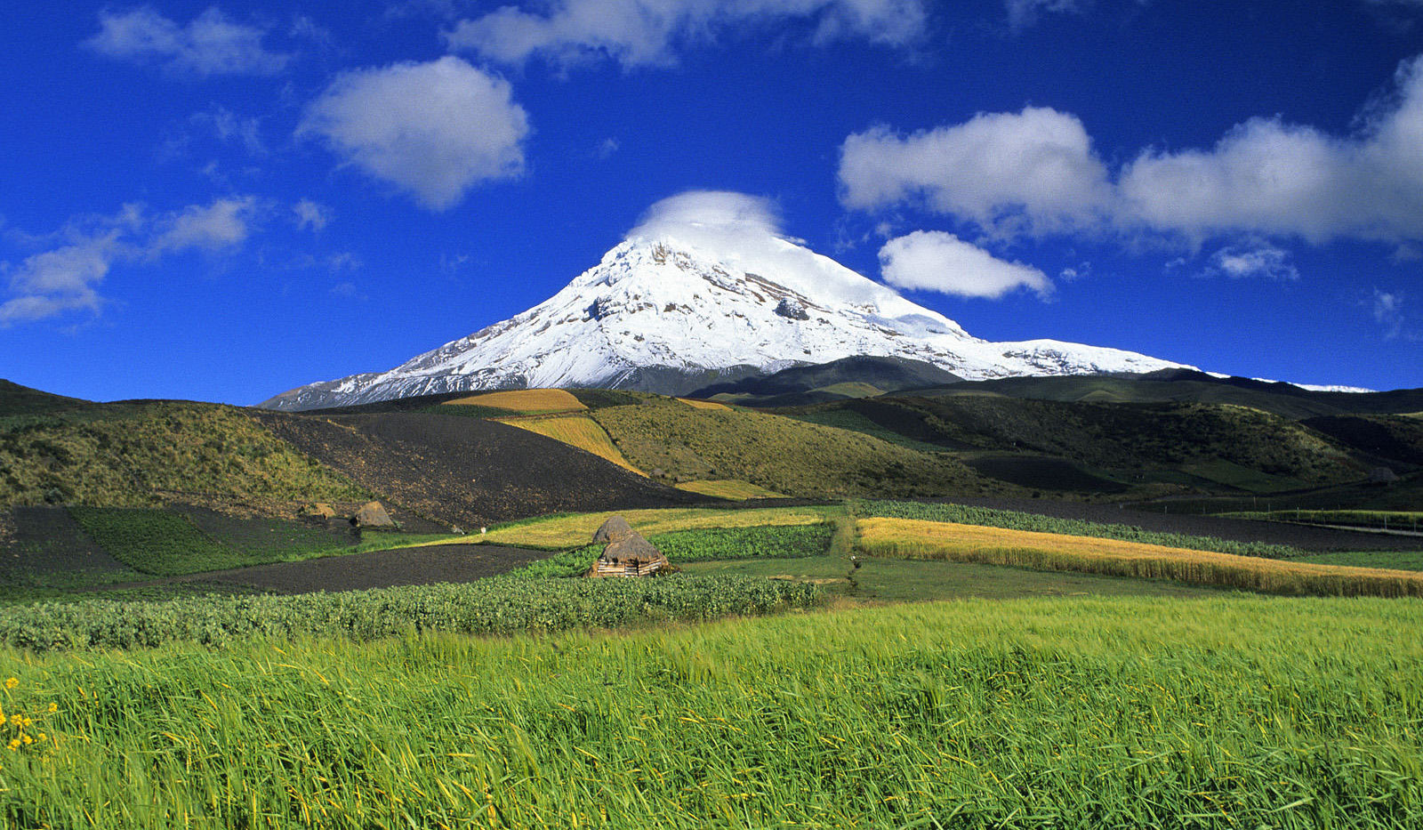 Download Ecuador Mapa Mundial Pictures
