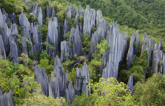 Cúspides de caliza en el Parque Nacional de Gunung Mulu